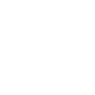 Arrival City